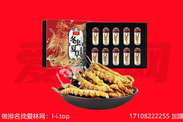 楚雄回收虫草.jpg